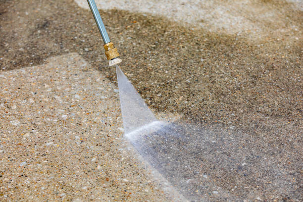 Best Soft Washing  in Palm Valley, FL