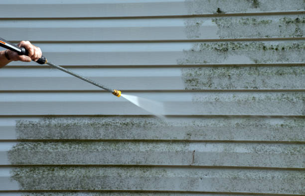 Professional Pressure Washing Services in Palm Valley, FL